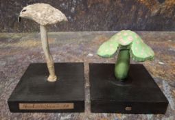 Natural History - Mycology - a painted model of fungus specimen, mounted for display, 13.5cm high;