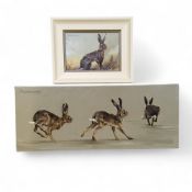 Sophia Dakin Montesanto, 20th century, Hare, signed, oil on board, 12cm x 17cm;  another, Hare