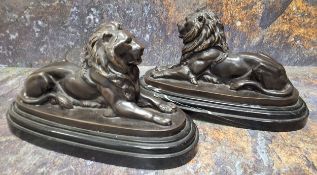 English School, a pair, dark patinated bronzes, lions, reclining, oval marble bases, 29cm wide