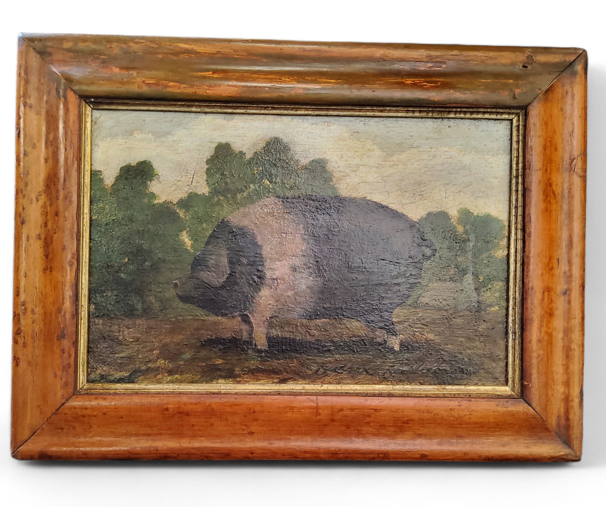 Folk Art - a 19th century Albourne Sussex Saddleback pig confirmation,  oil on board, signed to