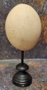 Natural History - an ostrich egg, mounted for display, 27cm high overall