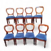 A set of eight Victorian mahogany balloon back dining chairs,  c.1880