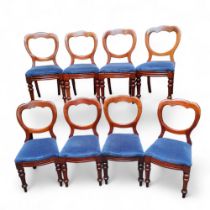 A set of eight Victorian mahogany balloon back dining chairs,  c.1880