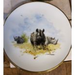 A set of  eight Wedgwood collectors plates, The David Shepherd Wildlife Collection, retailed by