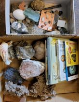Natural History - Fossils and Rocks - Dessert Rose, Blue John, Florite, etc