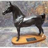 A Beswick Connoisseur model, of a Morgan Horse, Tarrayall Maestro, Multiple Grand Champion