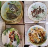 A set of eight Coalport limited edition plates, The Wise Owl,   by Michael Sawdy, certificates and