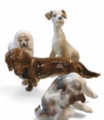 A Lladro model, of a Setter, 458319cm high;  a Royal Doulton model,  of a French Poodle, printed