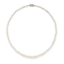A NATURAL SALTWATER PEARL AND DIAMOND NECKLACE in white gold, comprising a row of graduating pear...