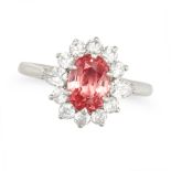 A PADPARADSCHA SAPPHIRE AND DIAMOND CLUSTER RING in platinum, set with an oval cut padparadscha s...