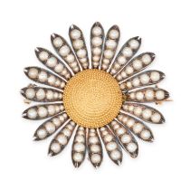 A PEARL DAISY BROOCH in yellow gold and silver, designed as a daisy, the petals set with pearls, ...