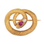 A FINE ANTIQUE RUBY AND DIAMOND SNAKE BROOCH in yellow gold, designed as a coiled engraved snake,...