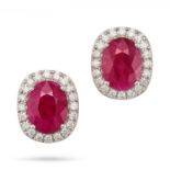 A PAIR OF RUBY AND DIAMOND CLUSTER EARRINGS each set with an oval cut ruby in a border of round b...