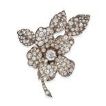 AN ANTIQUE DIAMOND FLOWER BROOCH in yellow gold and silver, designed as a dog rose set with an ol...