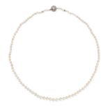 A PEARL AND DIAMOND NECKLACE comprising a single row of pearls, the clasp set with round and rose...