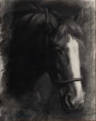 LUCY KEMP-WELCH (1869-1958) HORSE PORTRAIT