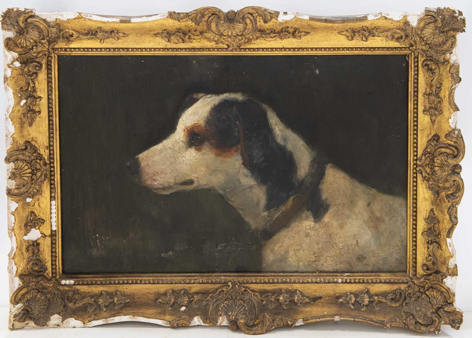 19TH/ 20TH CENTURY ENGLISH SCHOOL PORTRAIT OF A JACK RUSSELL - Image 2 of 2