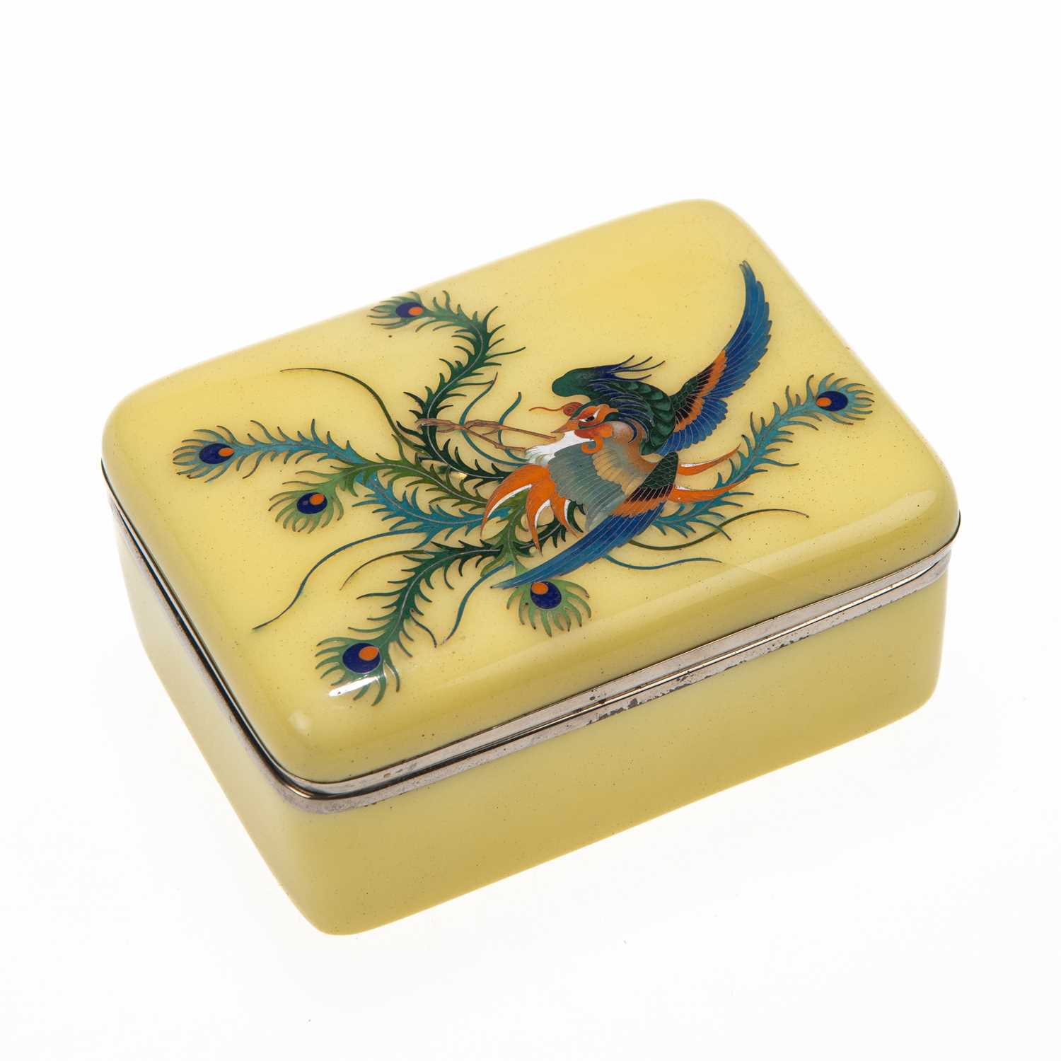 A JAPANESE CLOISONNÉ ENAMEL BOX, MEIJI PERIOD, EARLY 20TH CENTURY