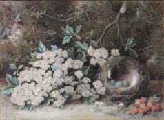 WILLIAM HOUGH (1819-1897) STILL LIFE WITH BIRDS NEST
