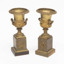 A PAIR OF 19TH CENTURY ORMOLU VASES