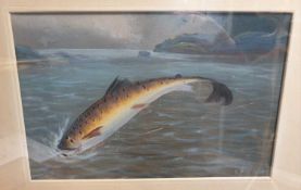 EARLY 20TH CENTURY ENGLISH SCHOOL FOUR STUDIES OF RIVER FISH