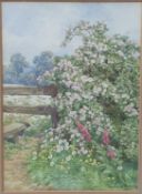 BEATRICE PARSONS (1870-1955) COUNTRY PATH WITH ROSE BUSH AND STILE