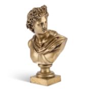 AFTER THE ANTIQUE, A BRONZE BUST OF APOLLO BELVEDERE