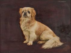 FLORENCE MABEL HOLLAMS (1877-1963) PORTRAIT OF A PEKINGESE DOG, 'PUSHKIN'