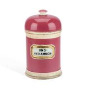 A 19TH CENTURY POTTERY APOTHECARY JAR