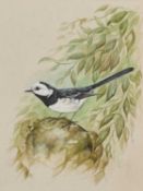ANDREW ALEXANDER (CONTEMPORARY) WAGTAIL