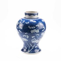 A CHINESE BLUE AND WHITE 'PRUNUS' JAR, KANGXI
