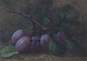 CHARLES HENRY SLATER (1820-1890) STILL LIFE OF PLUMS