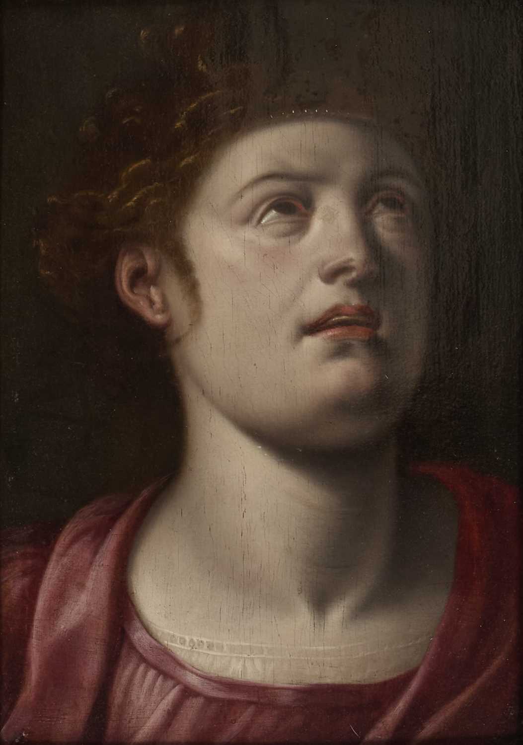 CIRCLE OF FRANS FLORIS (1520-1570) HEAD OF A WOMAN