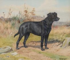 D.M AND E.M ALDERSON (1900-1992) PORTRAIT OF A LABRADOR 'CINDY'