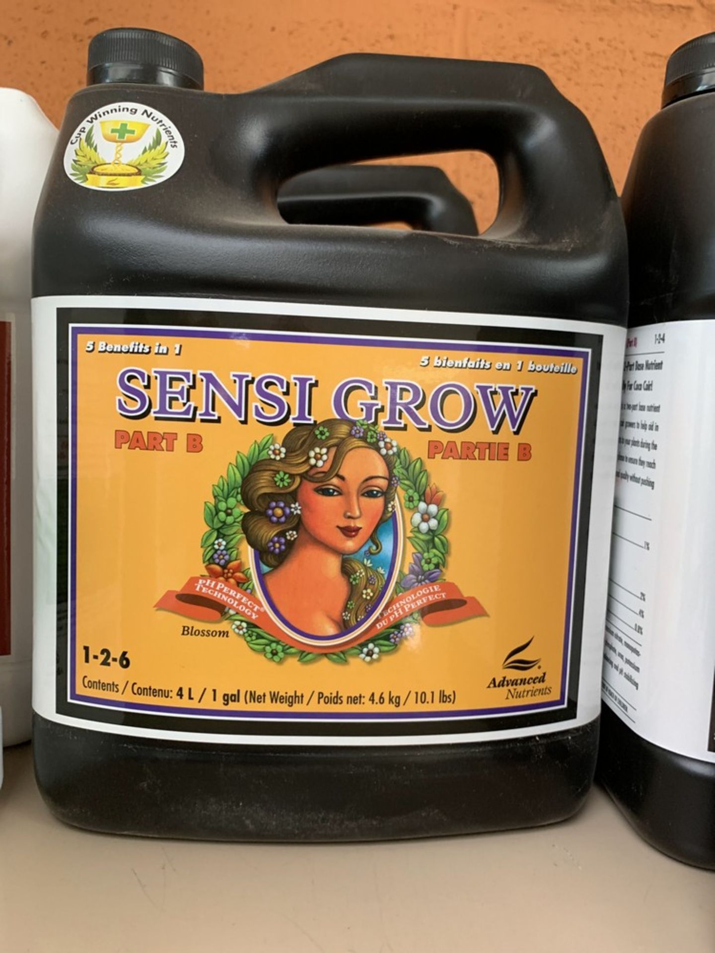 SENSI GROW Part B, 4L