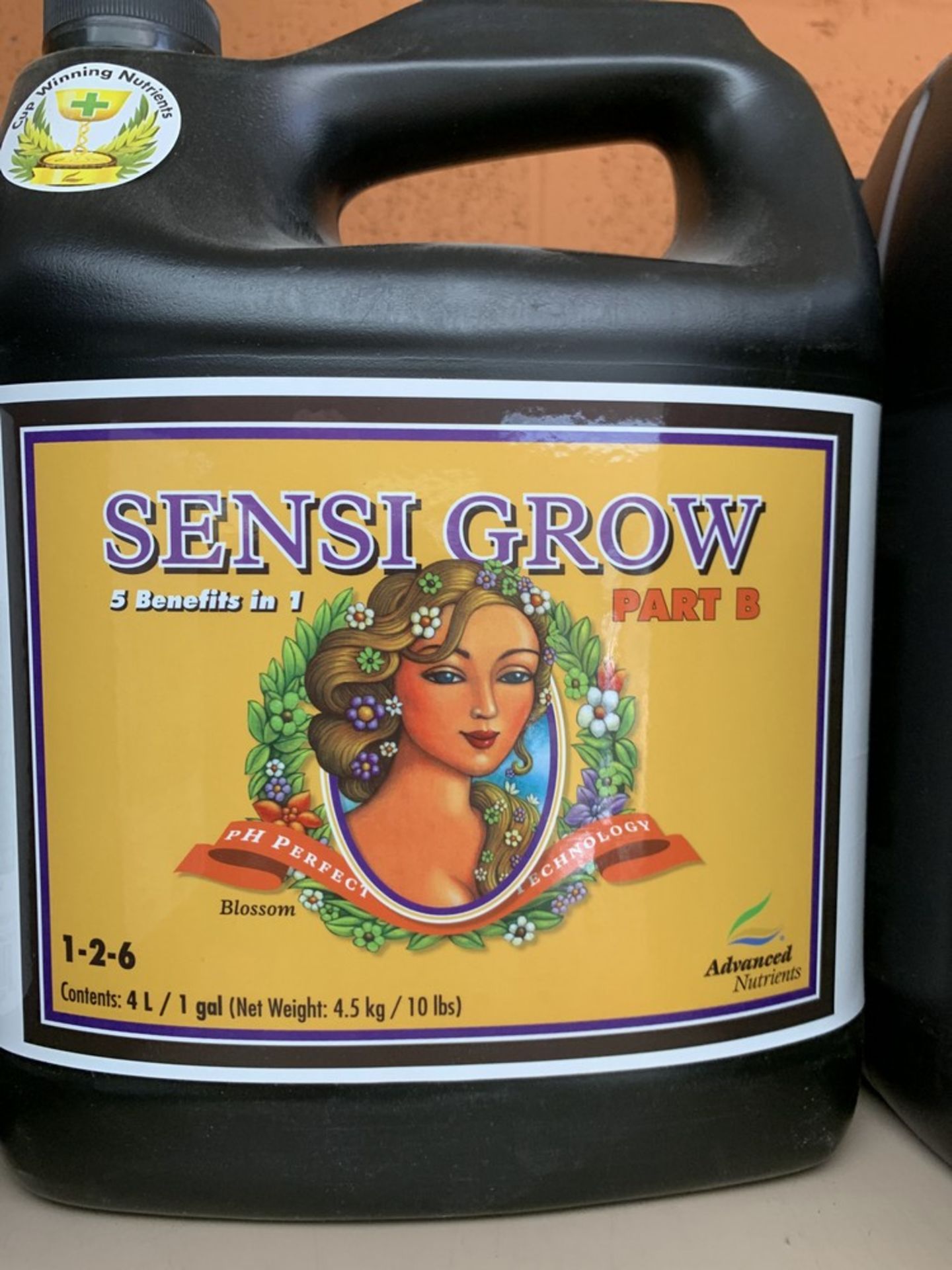 SENSI GROW Part B, 4L