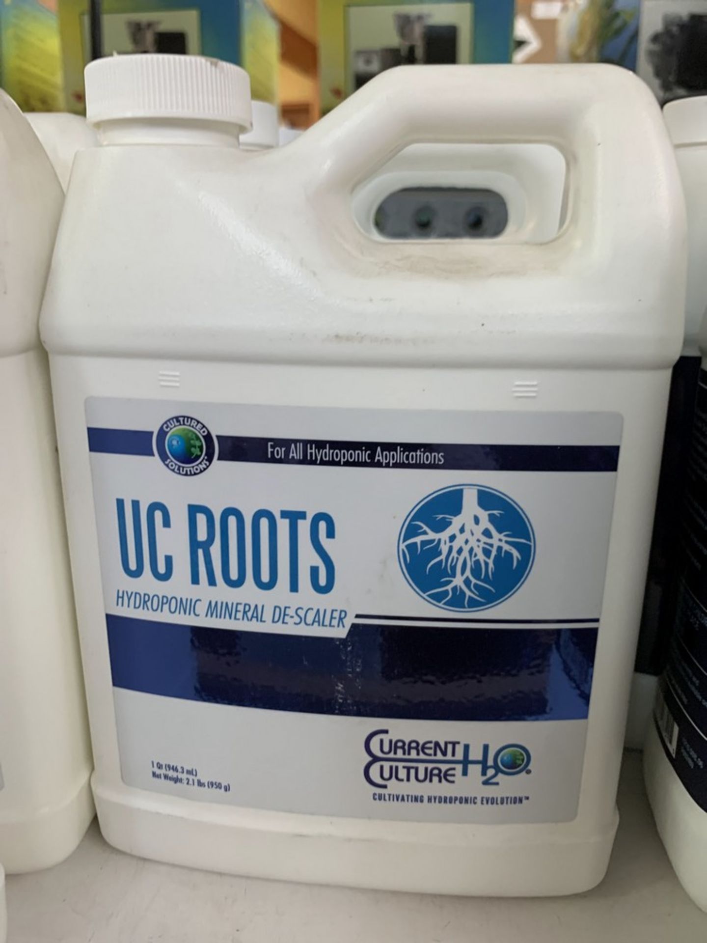 Current Culture - UC ROOTS