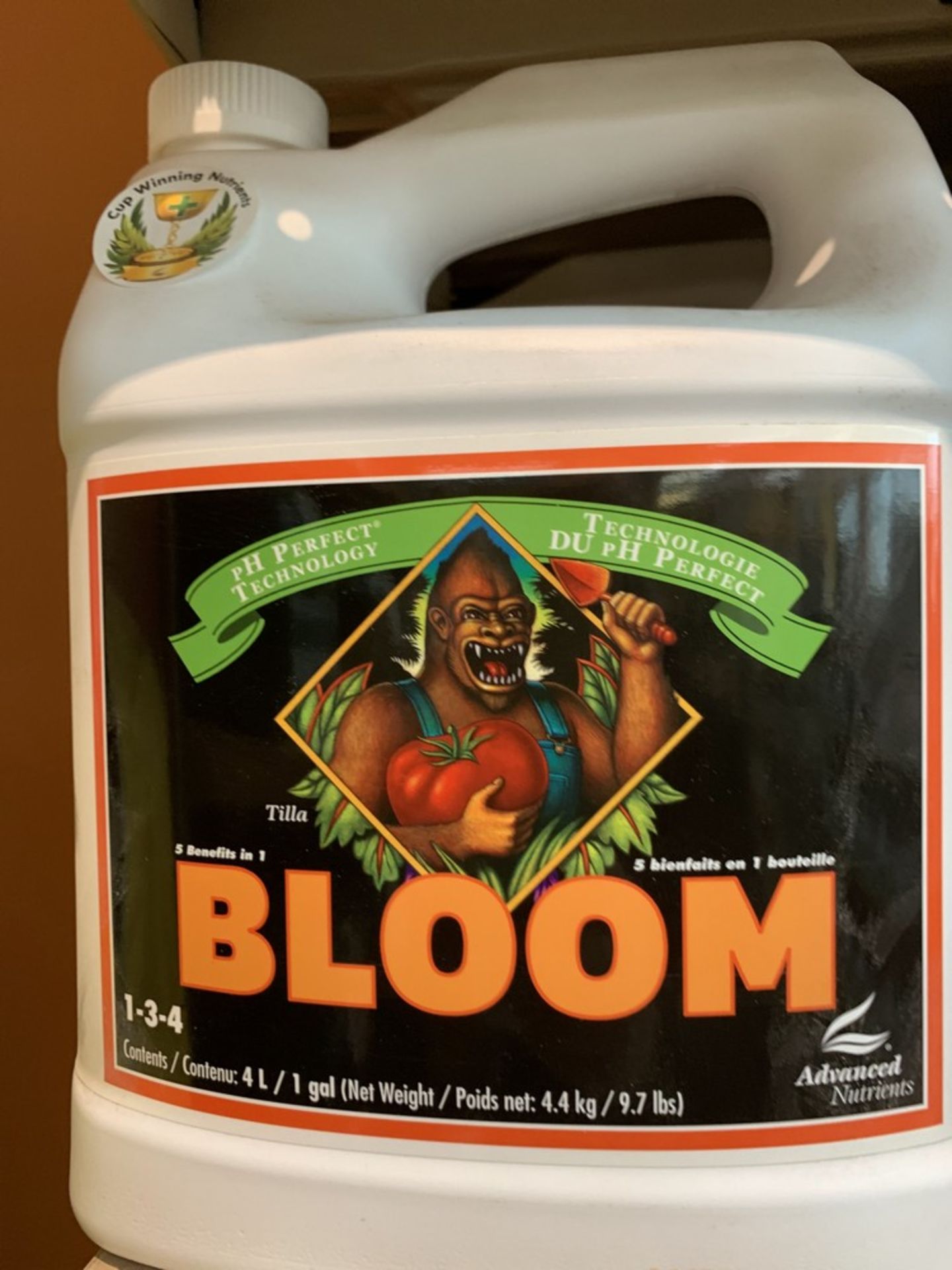 TILLA Bloom, 4L