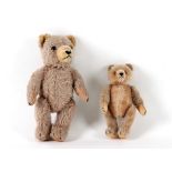 Zwei Teddybären