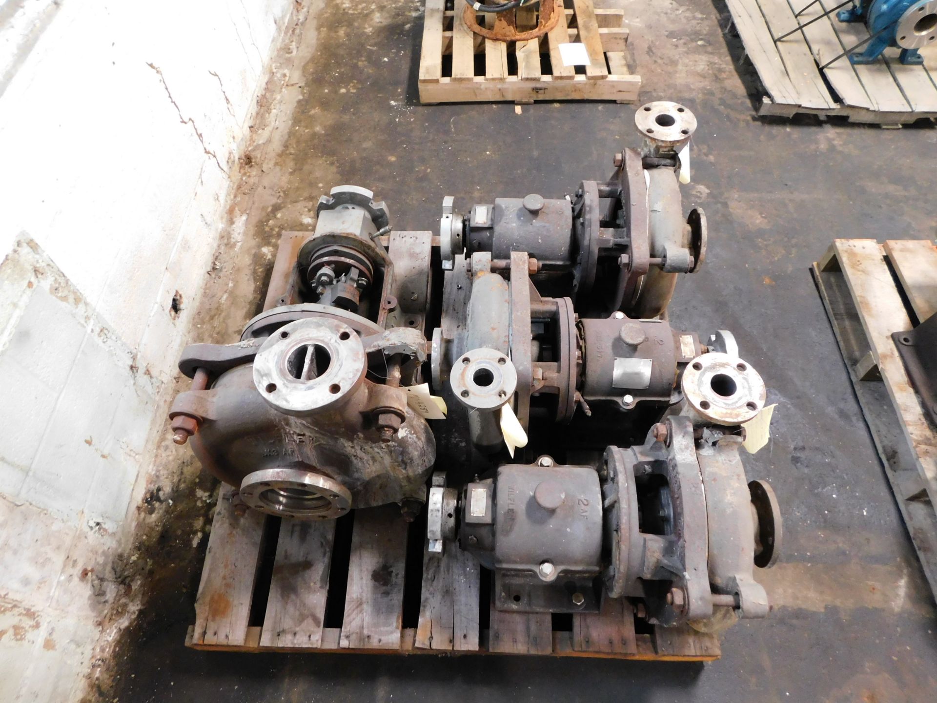 LOT OF (4) WILFLEY PUMPS - Image 2 of 4