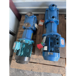 Brook Hansen Motor. Lot of (2). Type WU-DA132SJ-H. With Travini Pump TRHE 40-110/C/RX. s/n# AP256.