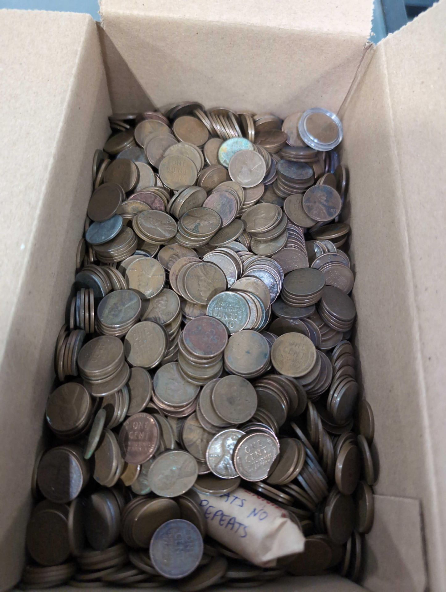 10lbs unsorted Wheat Pennies