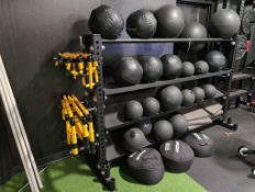 All medicine balls and yoga balls with rack