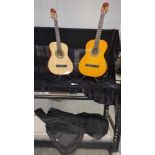 2 Classic Guitars w/stands plus gig bag