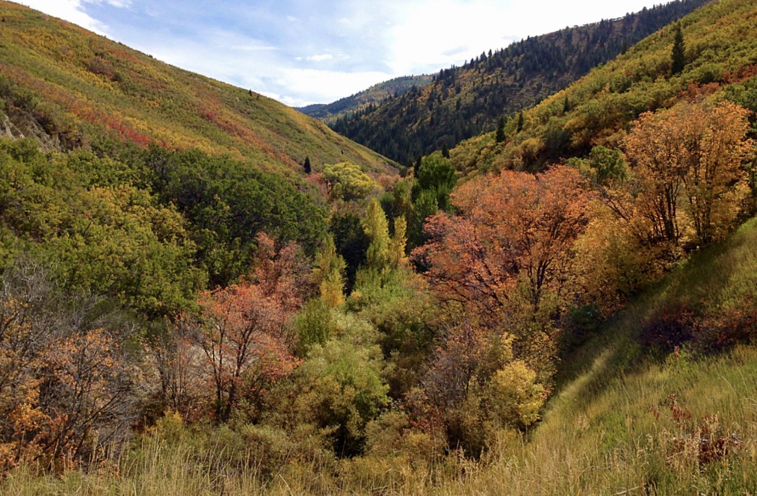 Lambs Canyon Land & Pallet Auction 04-11-2024