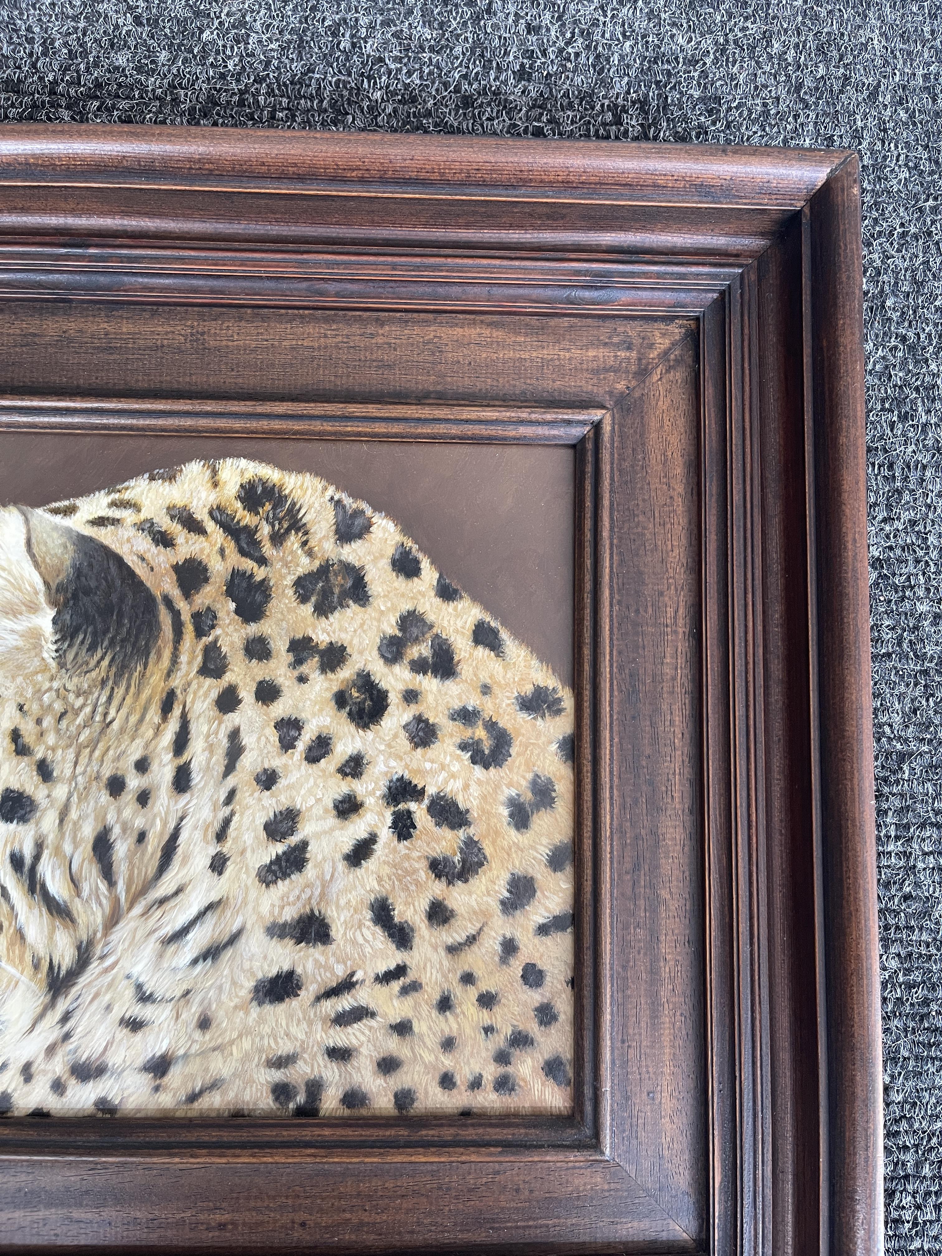 Signed and Framed Oil On Panel - Leopard - by Coli - Image 9 of 22