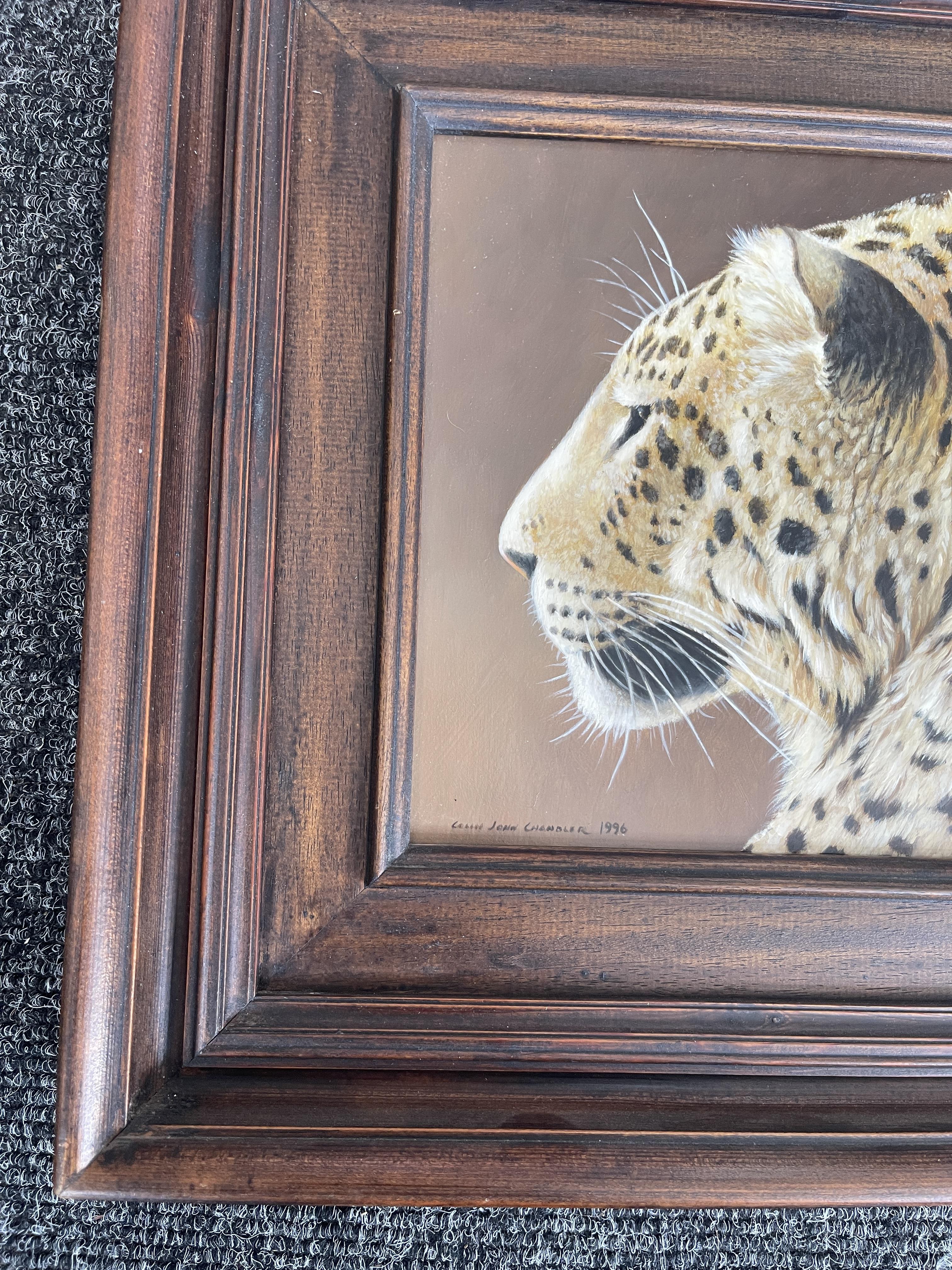 Signed and Framed Oil On Panel - Leopard - by Coli - Image 10 of 22