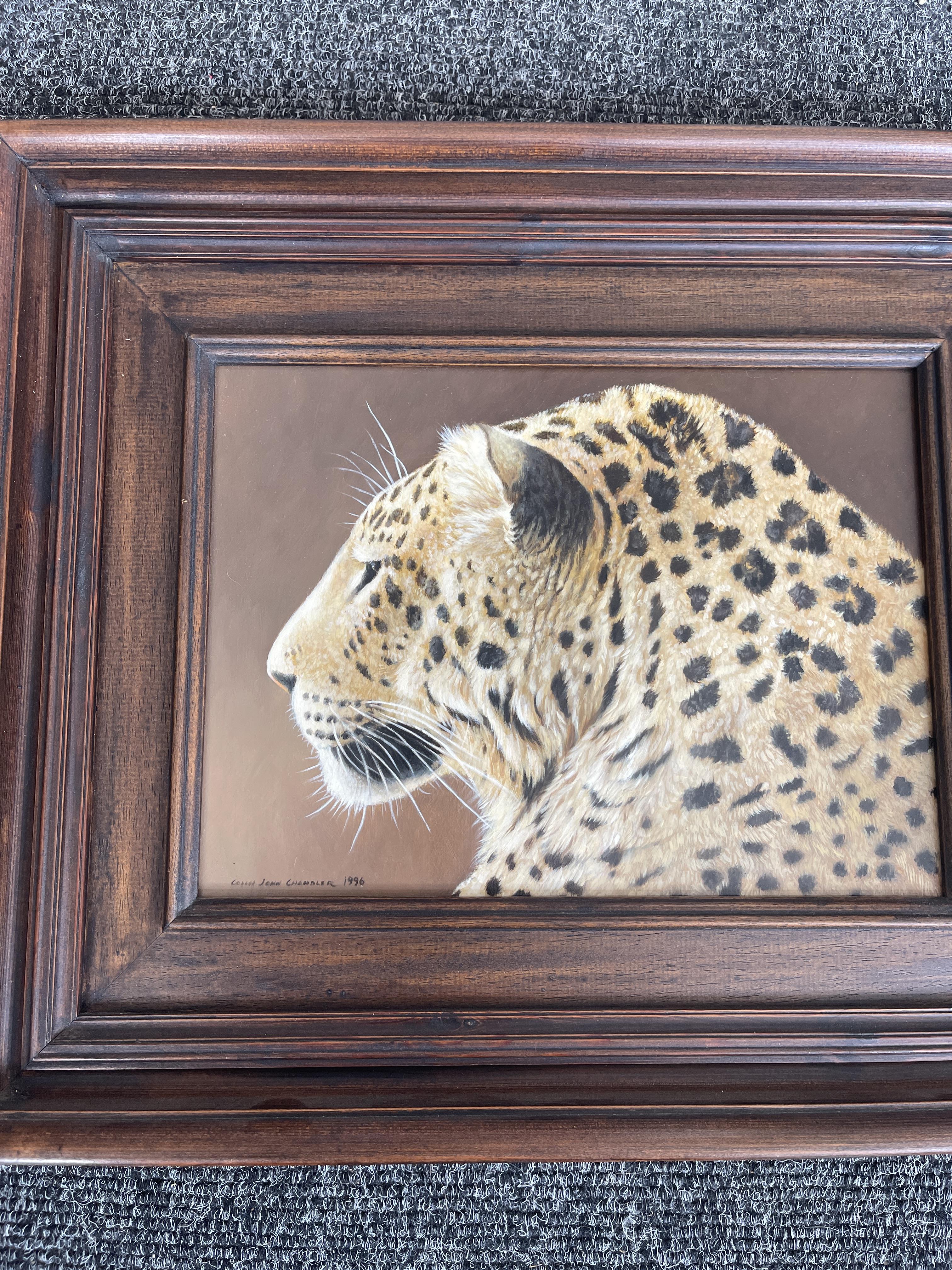 Signed and Framed Oil On Panel - Leopard - by Coli - Image 3 of 22