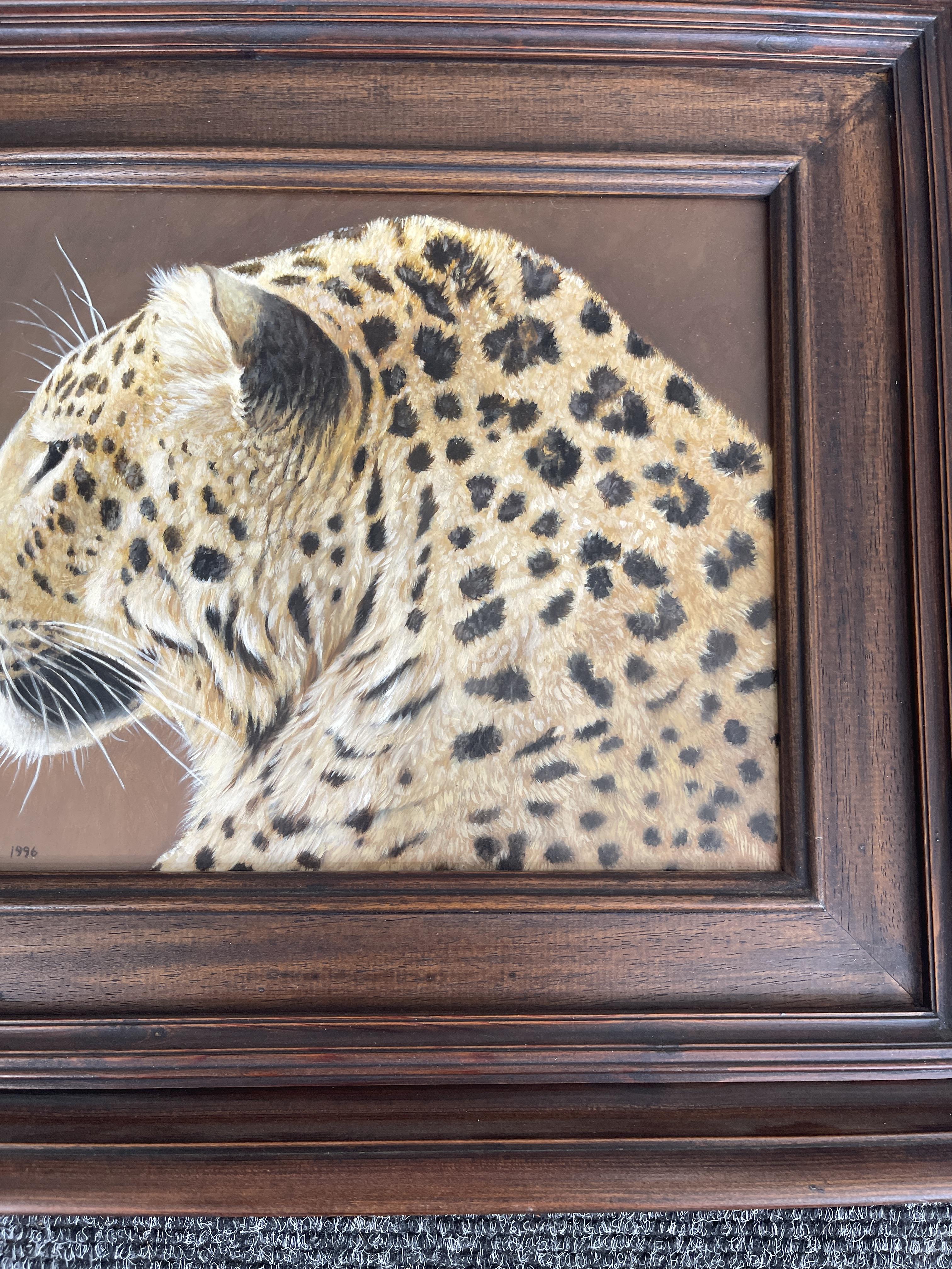 Signed and Framed Oil On Panel - Leopard - by Coli - Image 12 of 22
