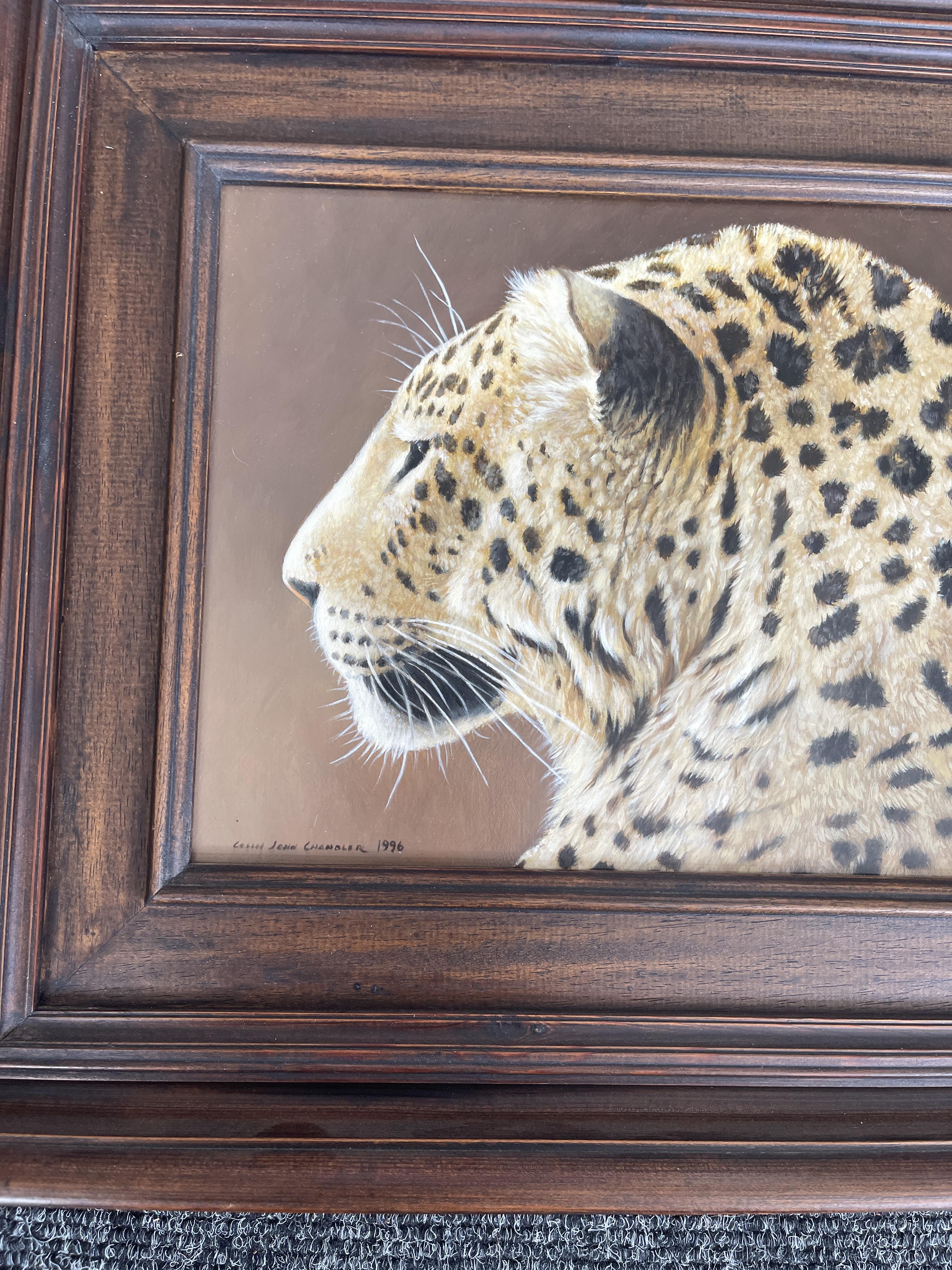 Signed and Framed Oil On Panel - Leopard - by Coli - Image 11 of 22